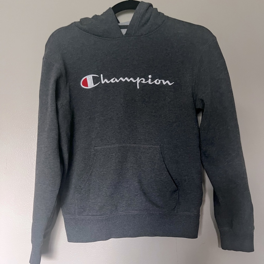 Champion Light Gray Pullover Hoodie Size Large GUC